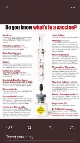 do u know what is in the vaccines 48309235076-5790