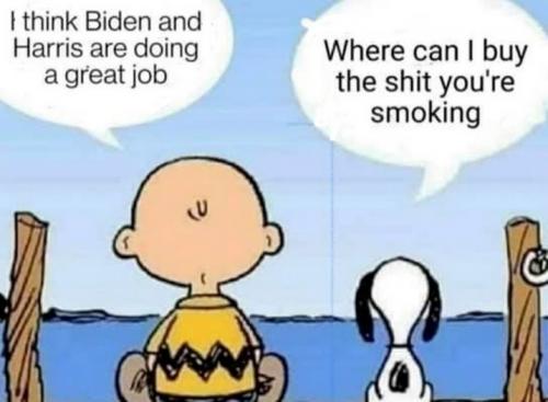 PEANUTS BIDEN AND HARRIS
