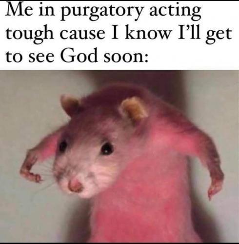 IMG_20210608_202851_501