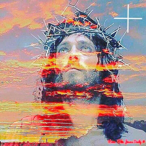 image(241)