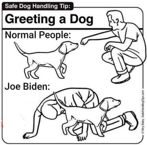 FB_IMG_1609446819231