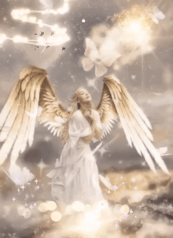 FF724491-1587-4121-A657-99EEDFA59F7E