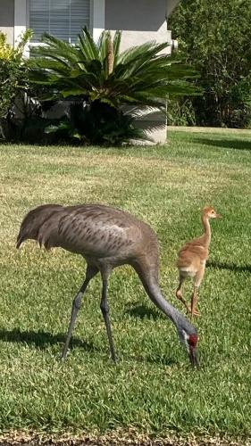 BEE9F95D-2A65-400E-8F12-A52D81A892CE