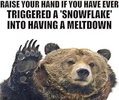 FFEC42A7-EAFA-4229-931B-7BA504EEF4E2