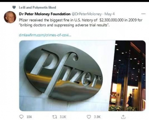 wp_ss_20210606_0005 (2)