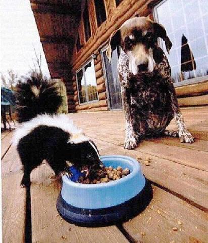patience and wisdom