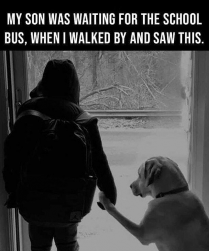 Screenshot_20210624-134724~2