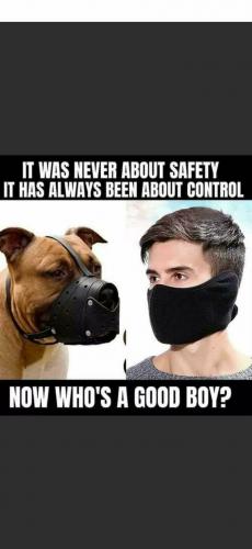 it was never about safty