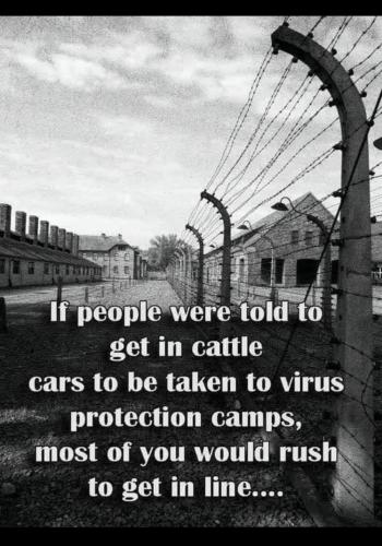 D3D9E140-9E78-49E8-ACB4-C52FCE571AB7