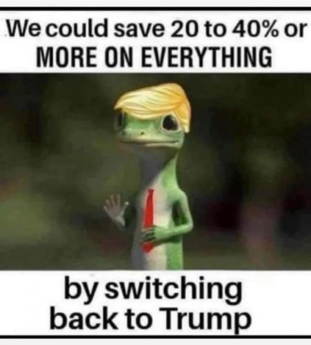 545ED3F4-FCBA-42A0-AC90-ED3E3C45C7ED