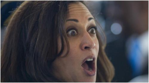 FFB0FE71-512D-44F8-A2C9-B496013CE9A9