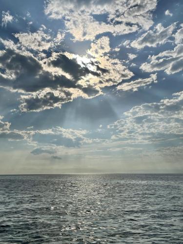 1802D2AC-E873-42EF-91F8-4E932887E20A