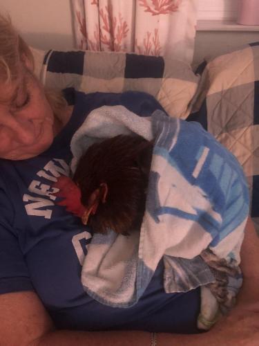 AC8830F2-CDBD-4FB9-AC4A-F238DFACD0A4