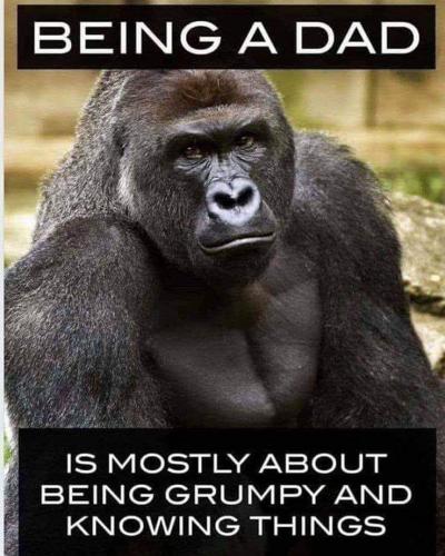 IMG_20210622_215855_176