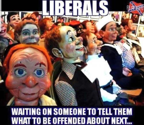 Screenshot_20210604-000156_DuckDuckGo