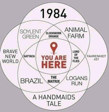 You are here