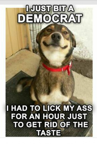 Screenshot_20210613-220536