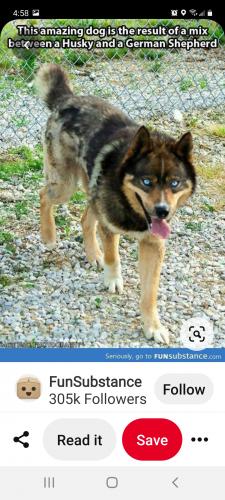 Screenshot_20210301-165824_Pinterest