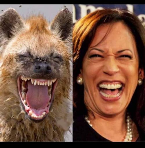 183759291_10160178562834460_7813641508404159909_n