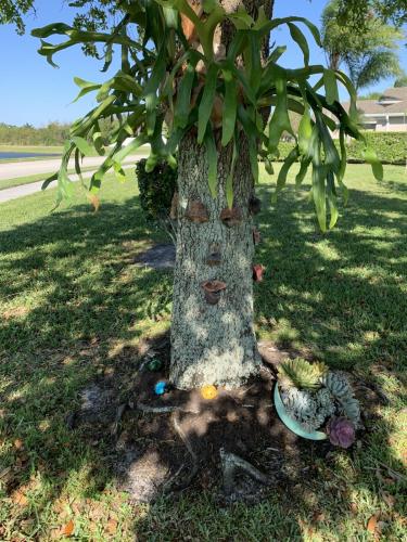 75A39F49-2D18-41AC-927C-86C14298EBC9