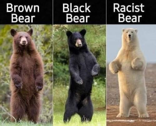 4E51D31F-737C-418C-A9C5-DAC80F6829F4