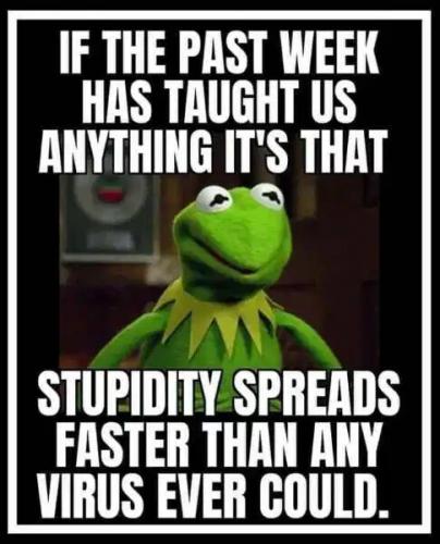 BC4B1F21-BE77-4136-8BCD-9D75417CF1A7