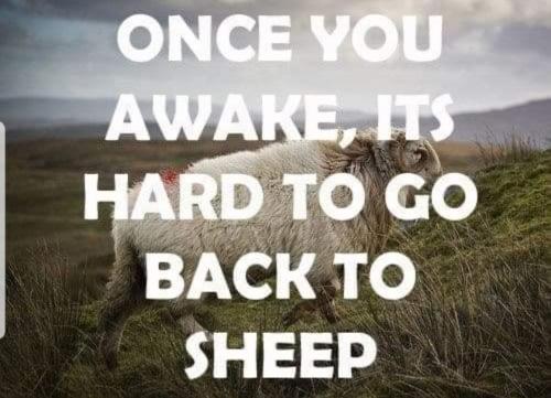 tempFileForShare_20210609-195158