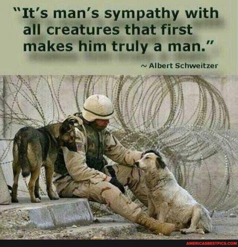 a84091a635e1f896eb8401ff79cacc9520ad63ca94c3d2a759d4d4775303cae0_1