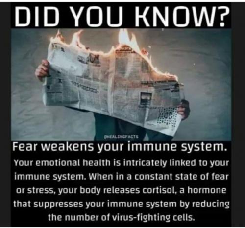 did you know 47098235609790685