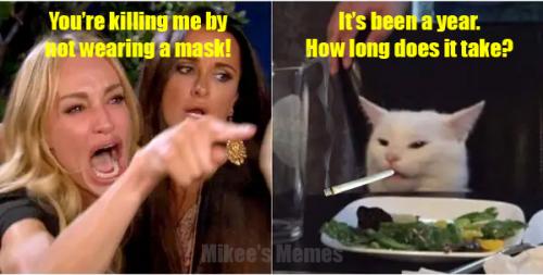 Smudge and Karen Masks