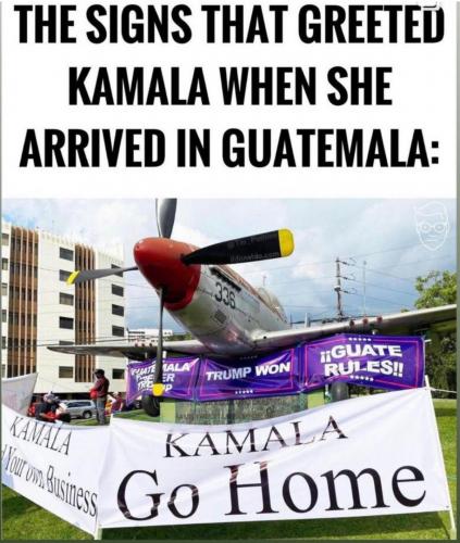 0328226C-8DC7-4D9B-9B3F-7E20FF7E10BB