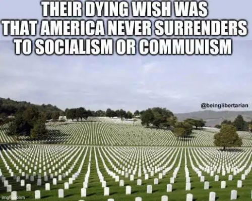 839502FE-DB13-46EE-ADF4-CC9477C0921D