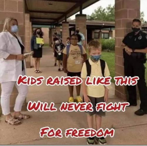 273357EB-FBA3-4C25-9A7E-2DD399043447