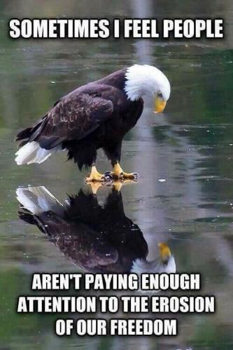 erosion of our freedom