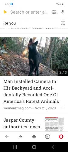 Screenshot_20210224-193715_Opera