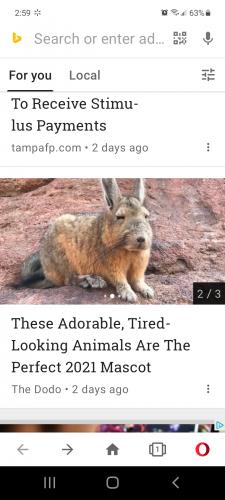 Screenshot_20210519-145925_Opera