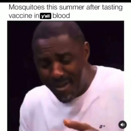 IMG_20210613_200504_667