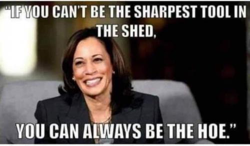 FB_IMG_1623183261249