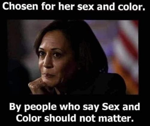 7B53AA41-48E9-439E-9C21-2849E04D801C