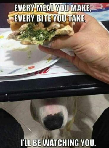 199050094_1333542390376158_4258075722050809709_n