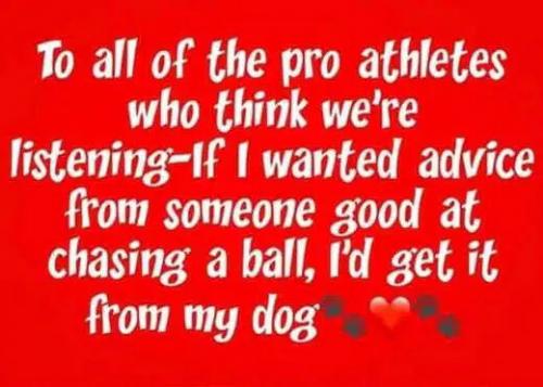 E10331FD-18E1-436F-9267-B0203EFBEBE3