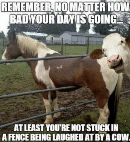 DE6B1671-C97D-4824-8689-A51945853E53