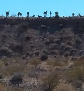 IMG_20210205_124647296~4