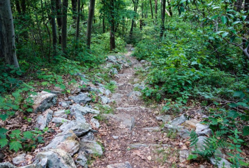 Screenshot_20210725-012458