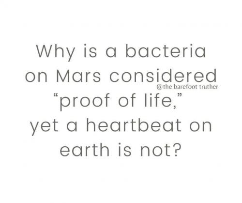 69A06586-CDC4-44D4-8AE5-97E103632105