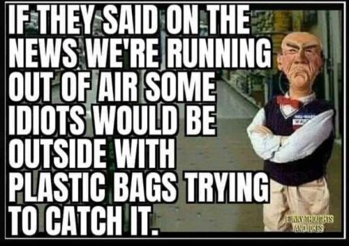 594AE15D-557E-479E-9D9F-5CEDE6E0B919