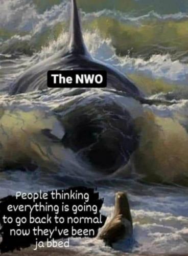 -5177064205080177021_121