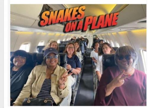 snakes on a plane