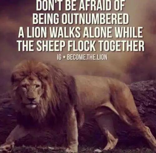 57447457-4114-4EA4-9927-8B8FAA8D86CF