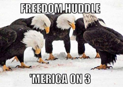 huddle